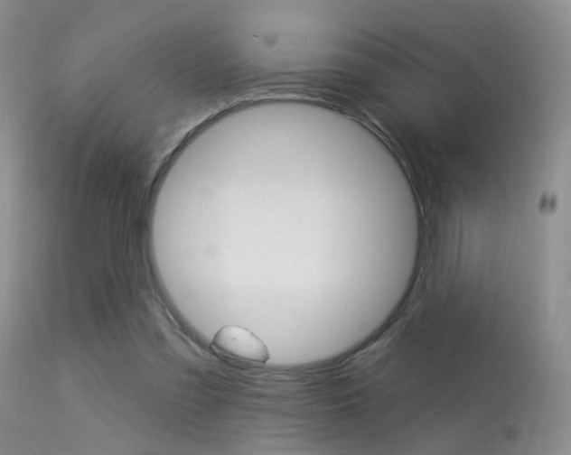 X0000113630301200909181311