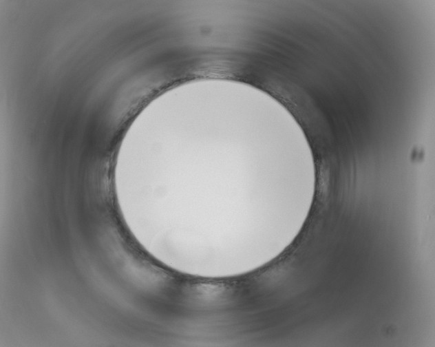 X0000113630302200909181311