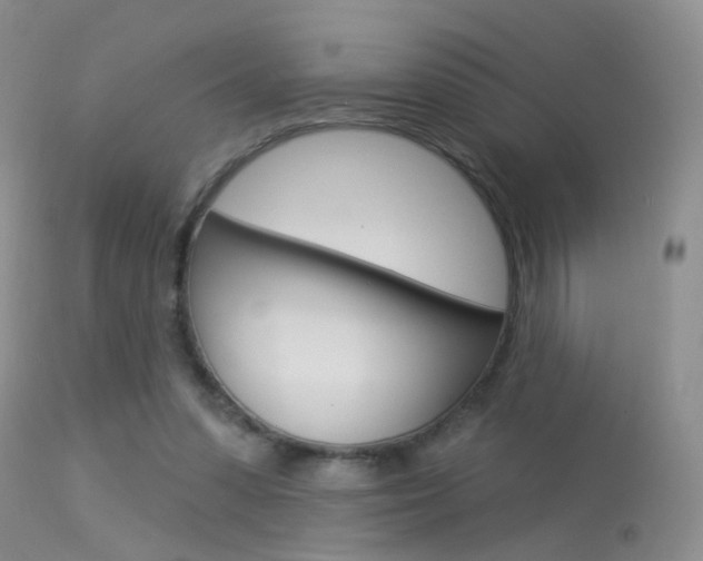 X0000113630303200909181311