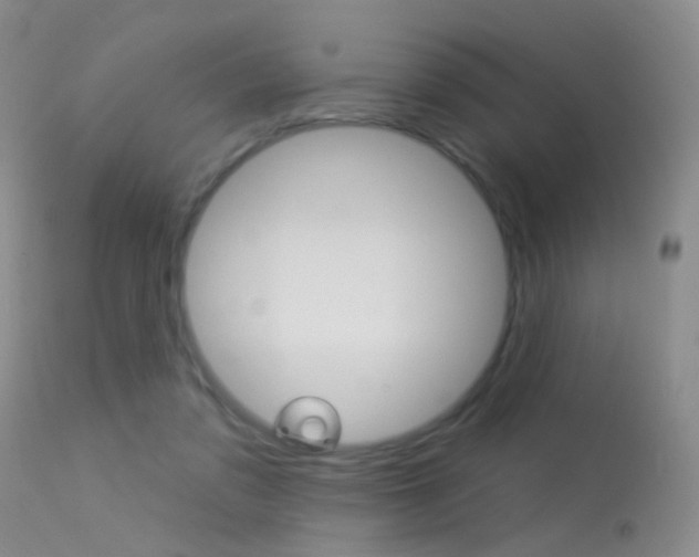 X0000113630309200909181311