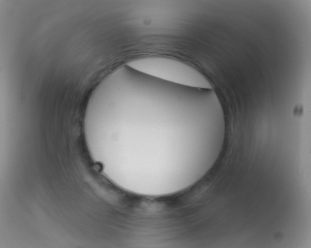 X0000113630311200909181311