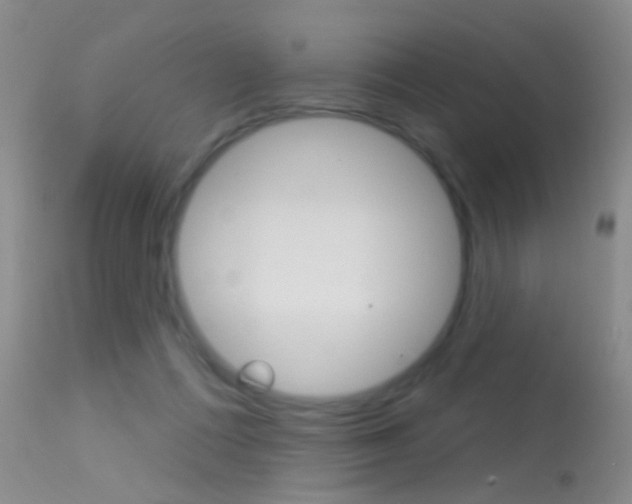 X0000113630312200909181311