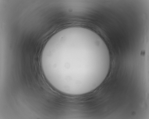 X0000113630313200909181311