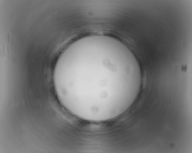 X0000113630314200909181311