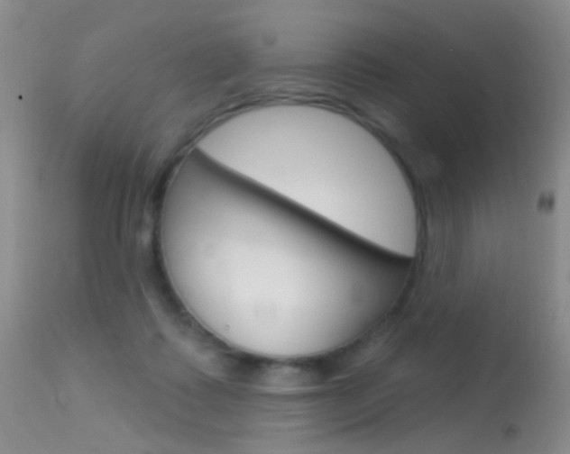 X0000113630315200909181311