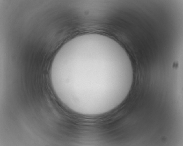X0000113630316200909181311