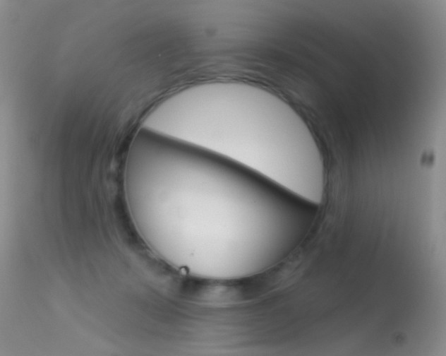 X0000113630319200909181311