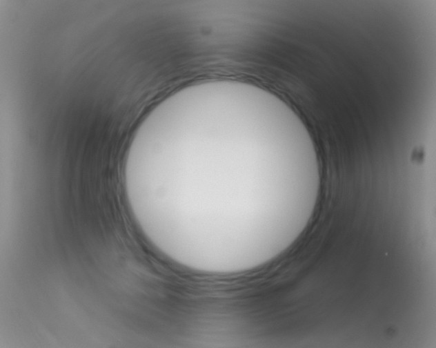 X0000113630320200909181311