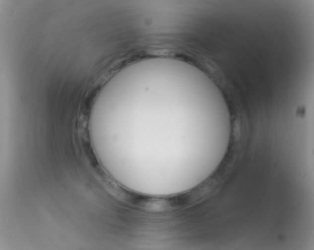 X0000113630322200909181311