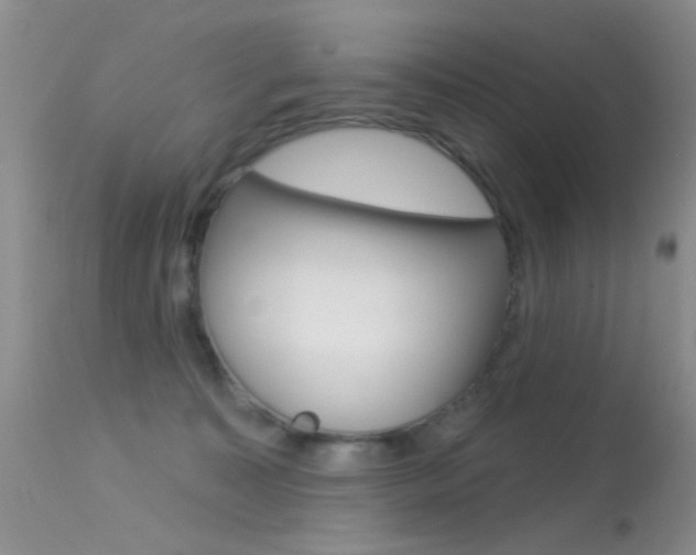 X0000113630323200909181311