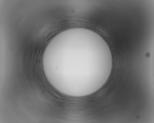 X0000113630325200909181311