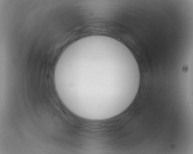 X0000113630327200909181311