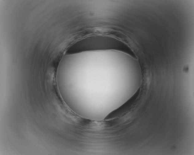 X0000113630328200909181311