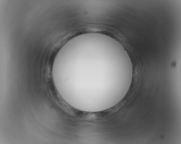 X0000113630330200909181311