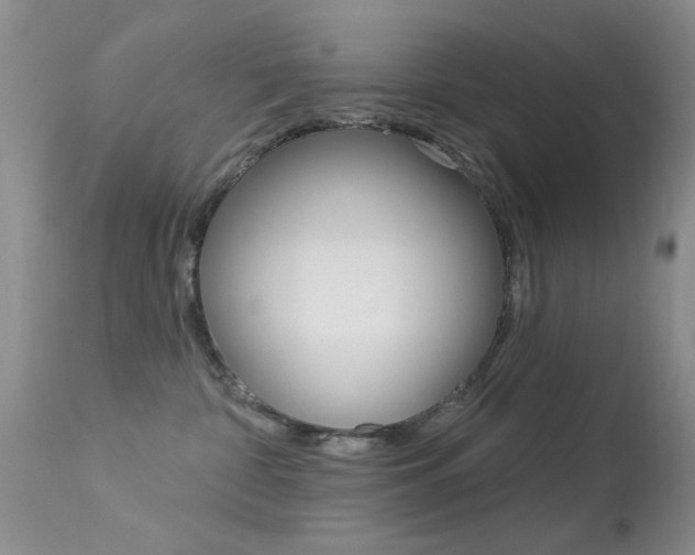 X0000113630332200909181311