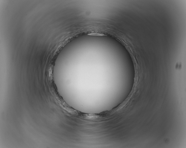 X0000113630336200909181311