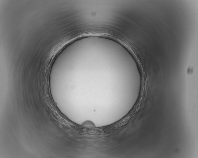 X0000113630337200909181310