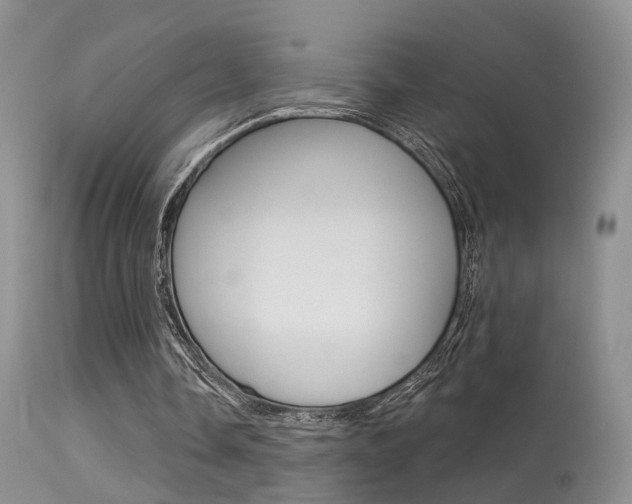 X0000113630338200909181310
