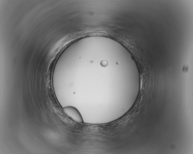 X0000113630339200909181310