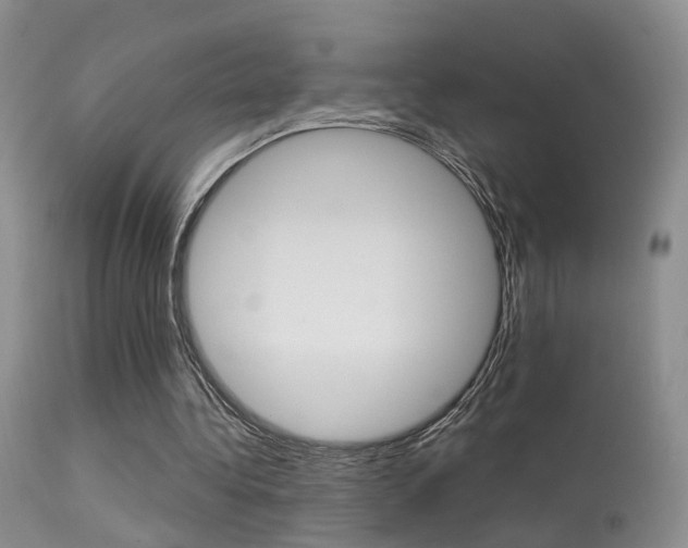 X0000113630340200909181310