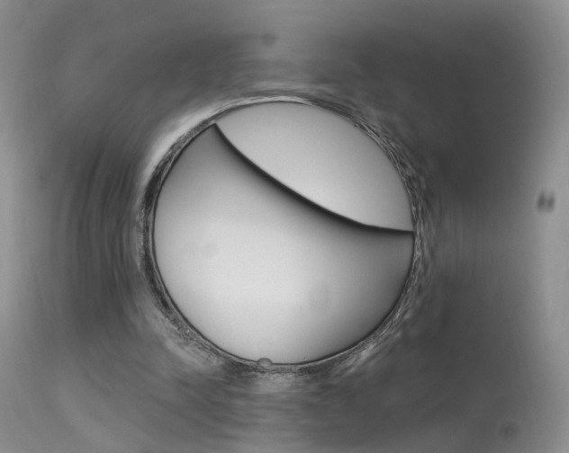 X0000113630342200909181310