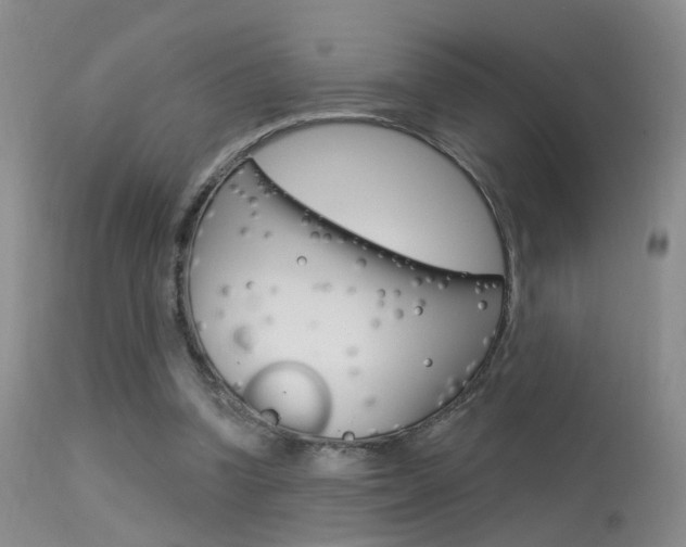 X0000113630346200909181310