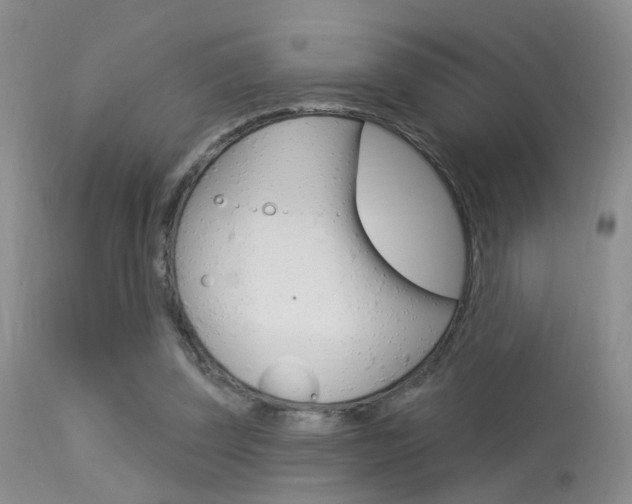 X0000113630347200909181310