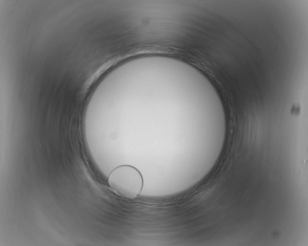 X0000113630348200909181310