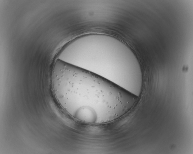 X0000113630349200909181310