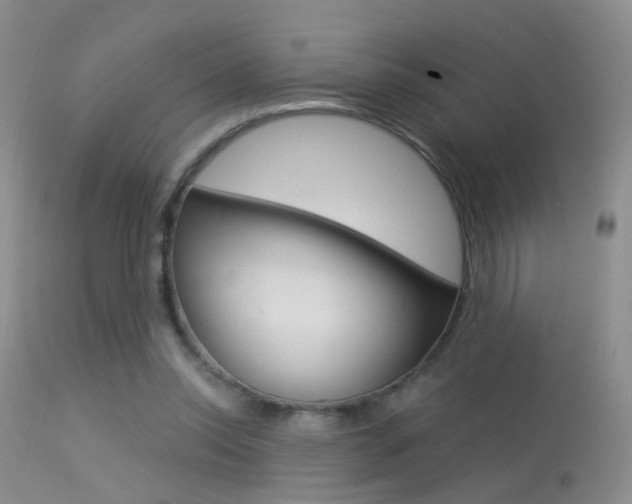 X0000113630350200909181310