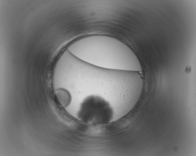 X0000113630351200909181310
