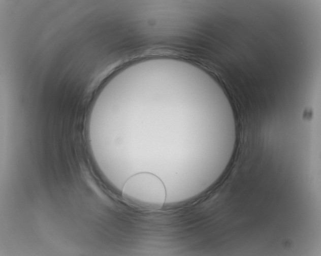 X0000113630352200909181310