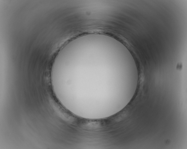 X0000113630353200909181310