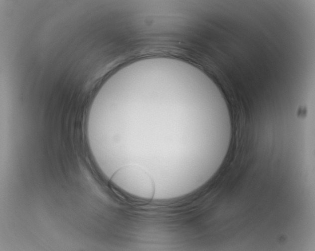 X0000113630356200909181310