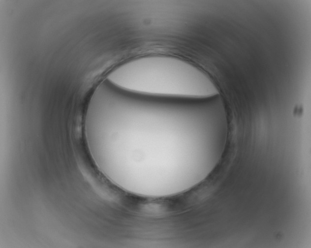 X0000113630358200909181310