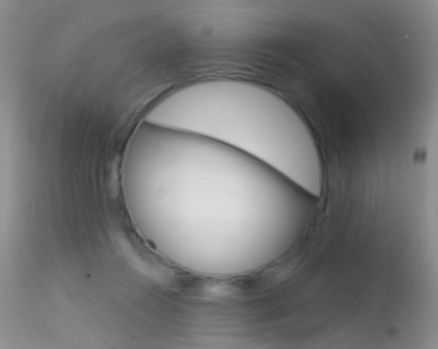 X0000113630360200909181310