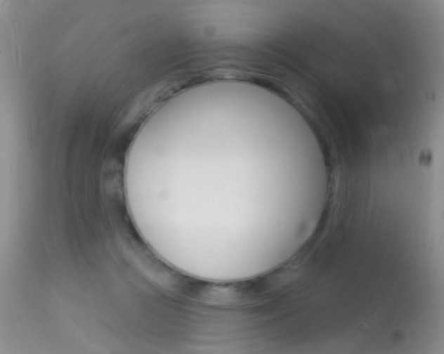 X0000113630361200909181310