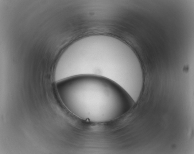 X0000113630362200909181310