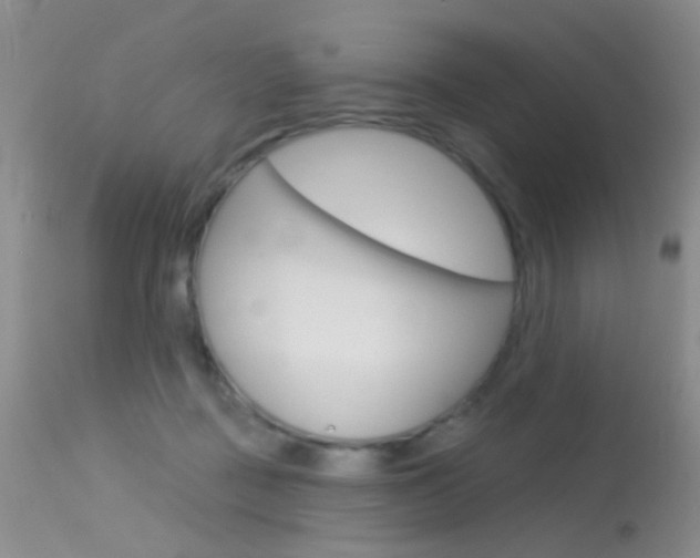 X0000113630363200909181310