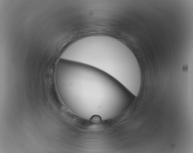 X0000113630364200909181310