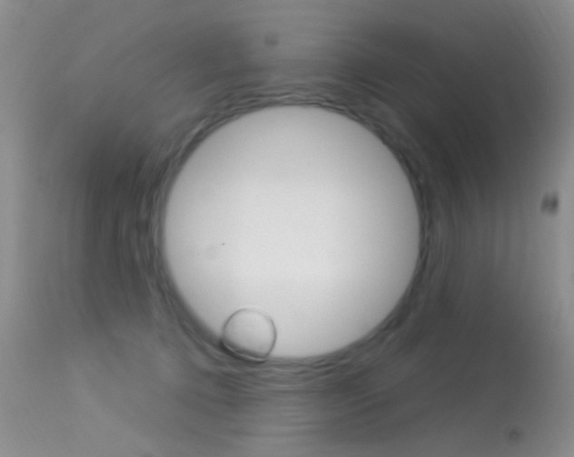 X0000113630368200909181310