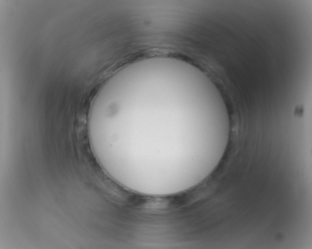 X0000113630369200909181310