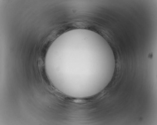 X0000113630371200909181310