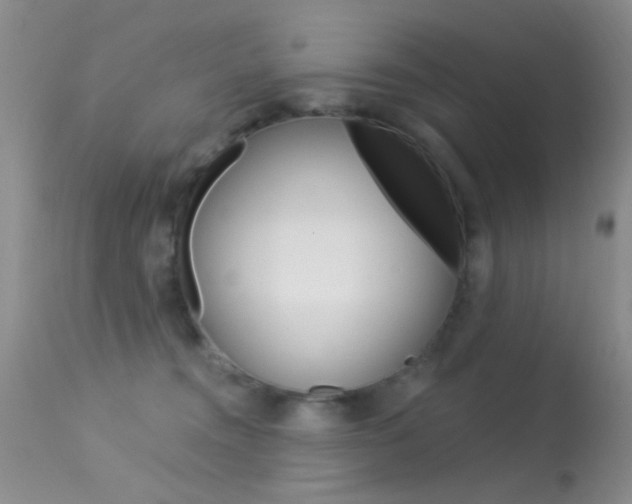 X0000113630372200909181310