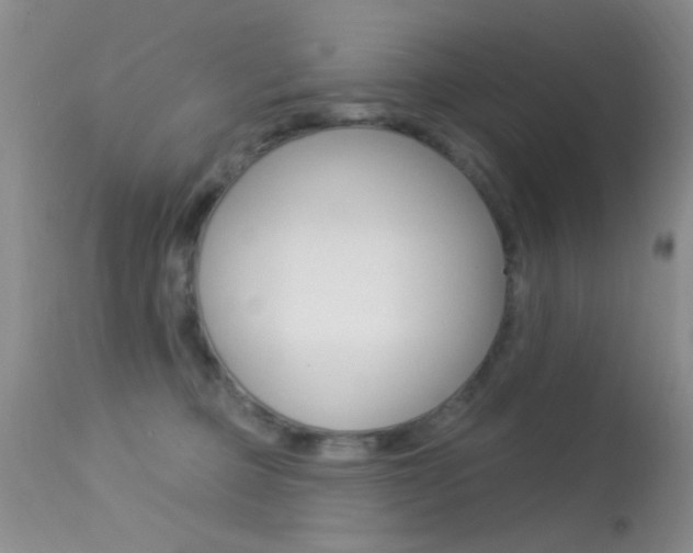 X0000113630373200909181310