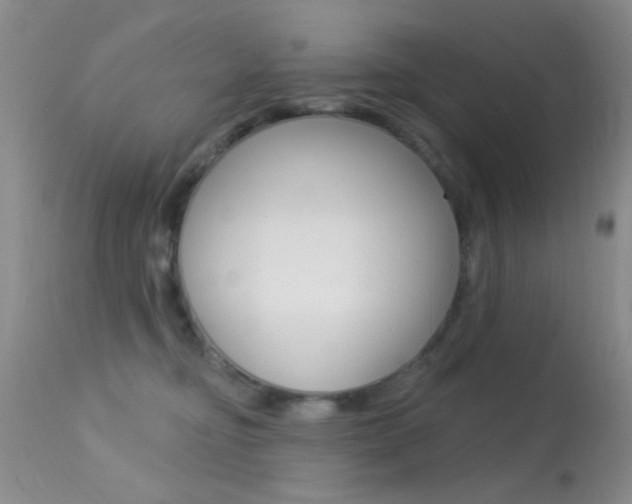 X0000113630374200909181310