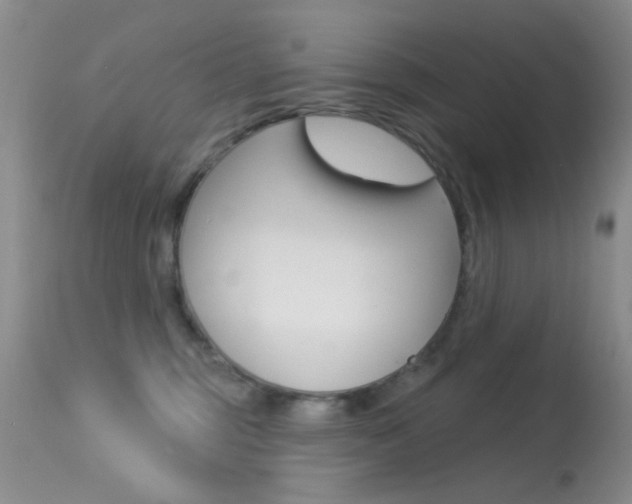 X0000113630375200909181310