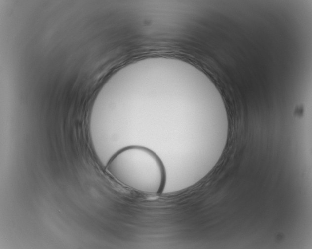 X0000113630376200909181310