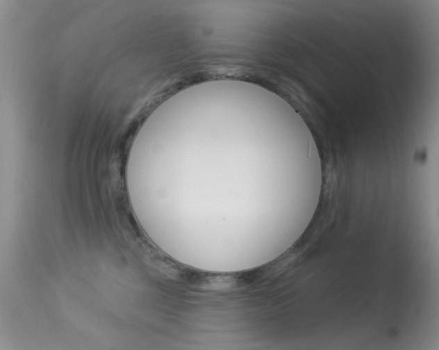 X0000113630377200909181310