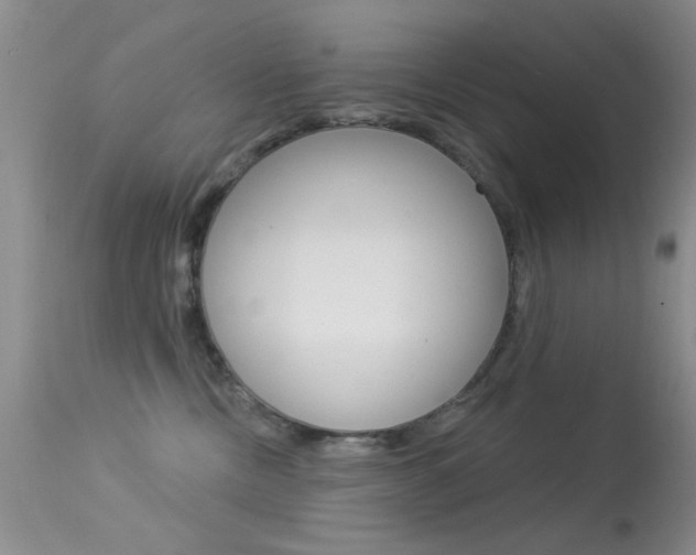 X0000113630378200909181310